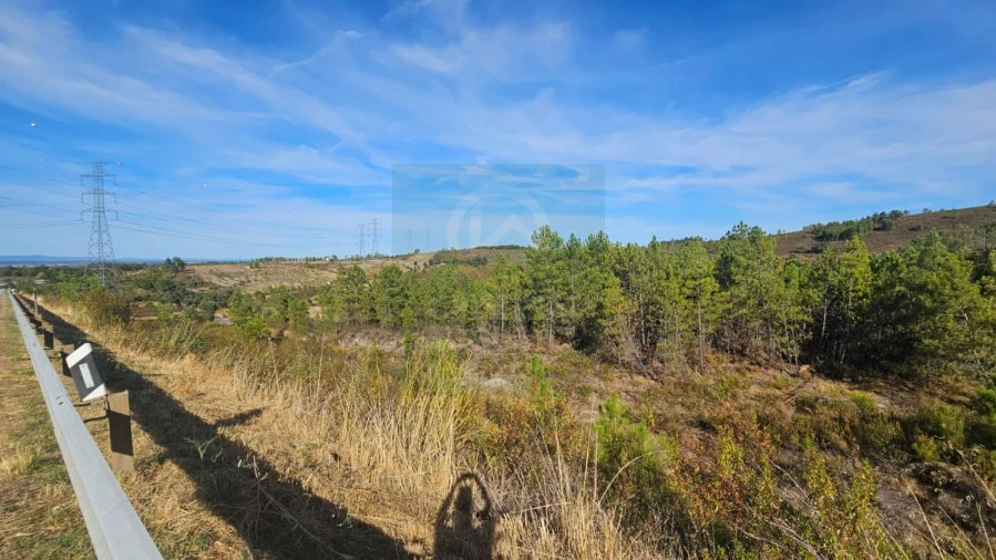 Terreno para Venda em Cebolais de Cima e Retaxo Foto 9