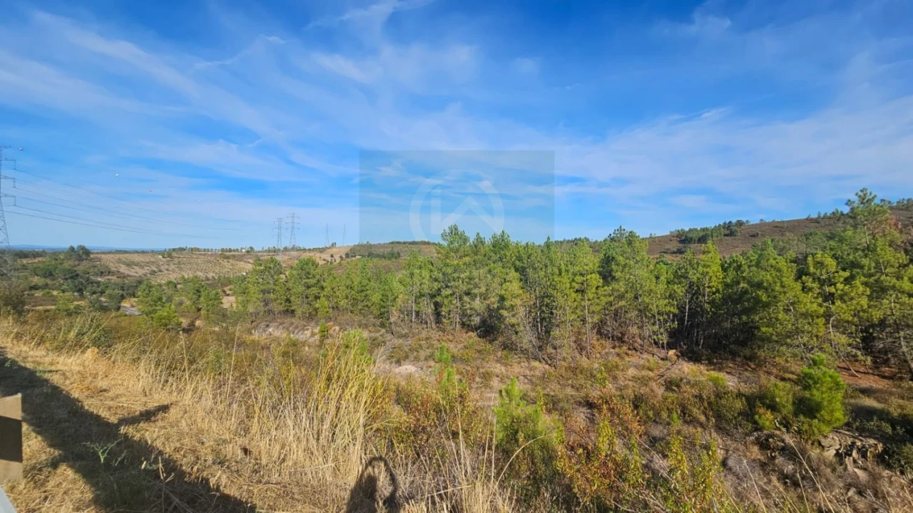 Terreno para Venda em Cebolais de Cima e Retaxo Foto 8