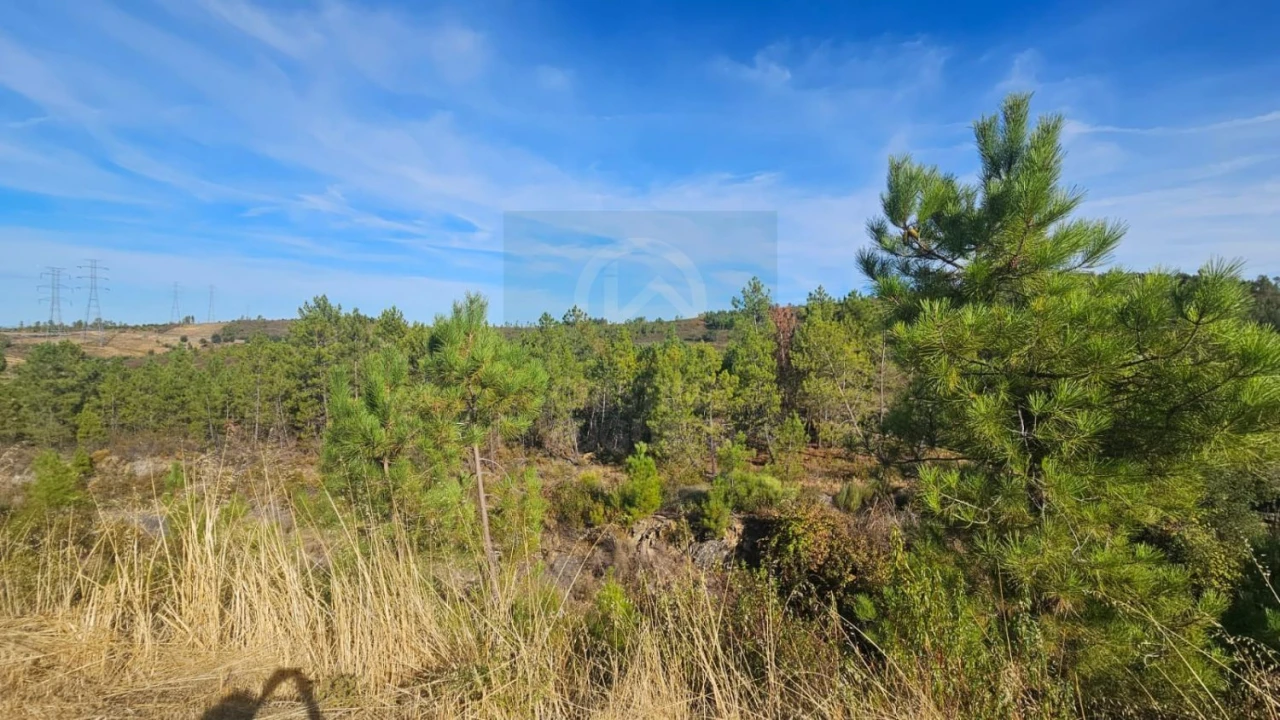 Terreno para Venda em Cebolais de Cima e Retaxo Foto 11
