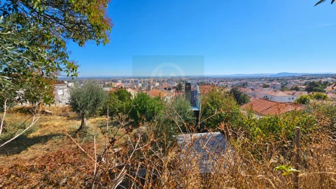 Terreno para Venda em Castelo Branco