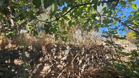 Terreno para Venda em Castelo Branco