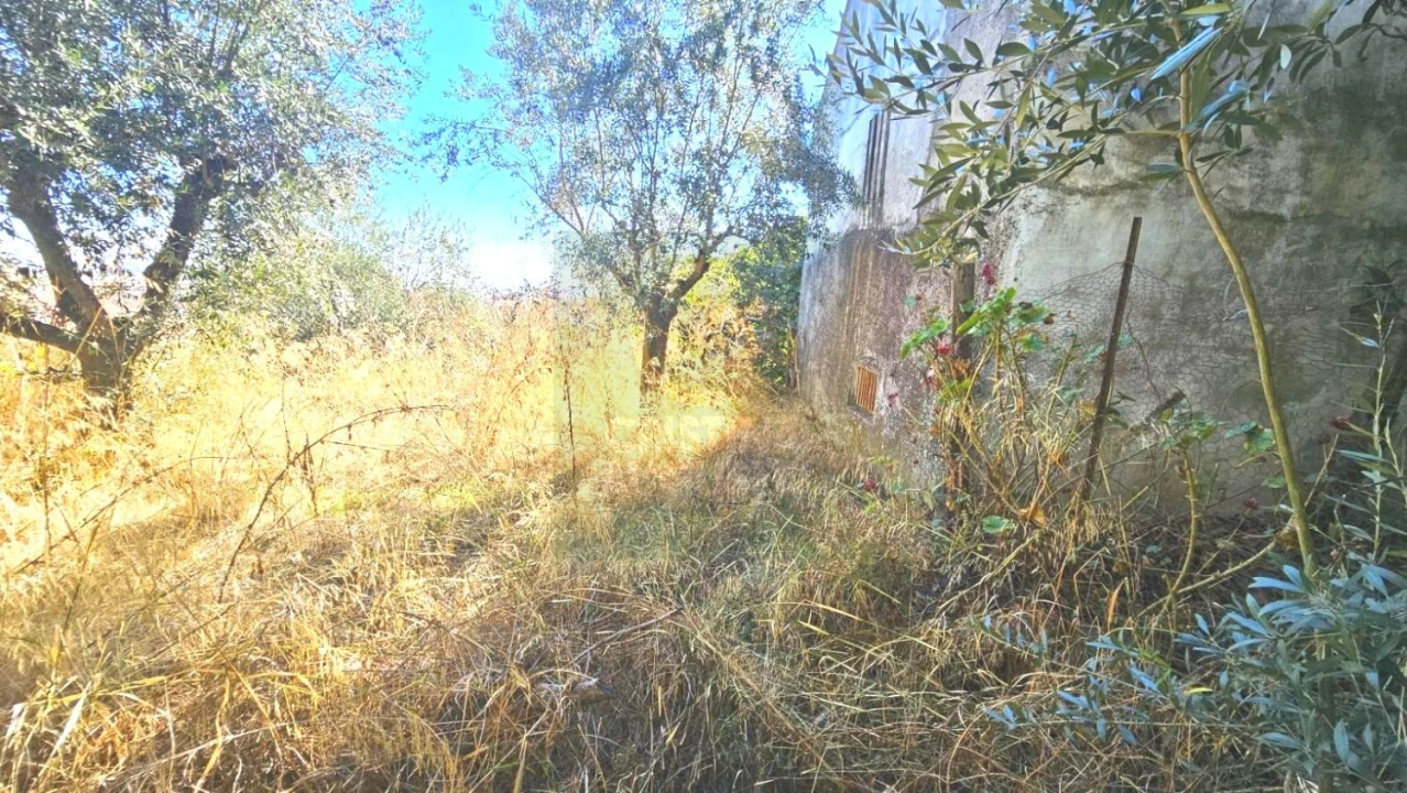 Terreno para Venda em Castelo Branco Foto 4