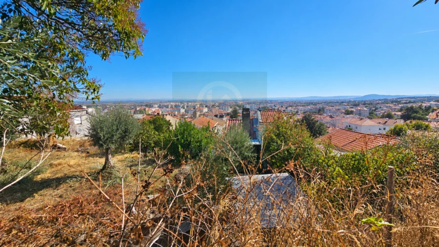 Terreno para Venda em Castelo Branco