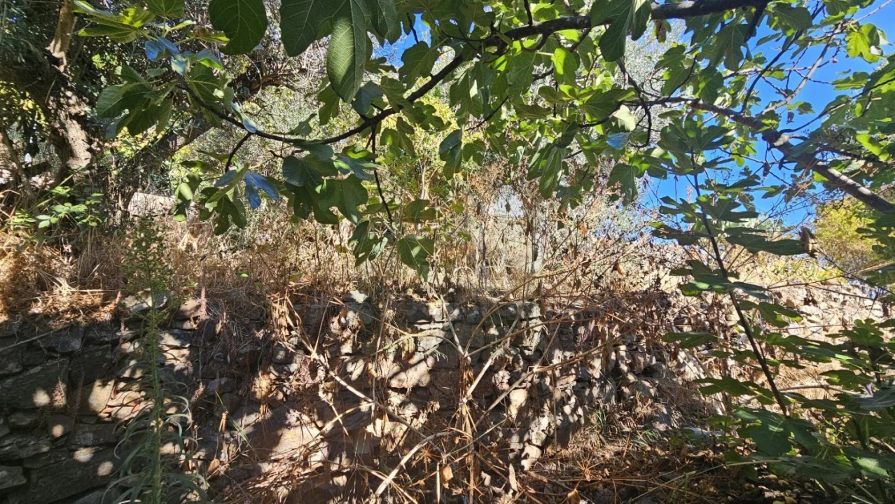 Terreno para Venda em Castelo Branco Foto 3