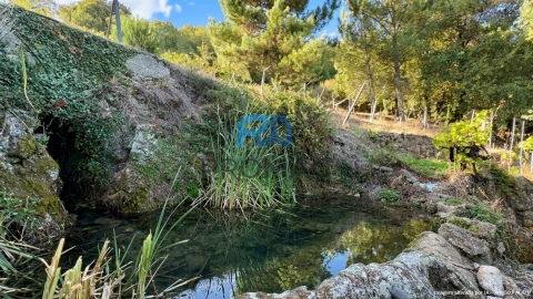 Terreno para Venda em Valadares
