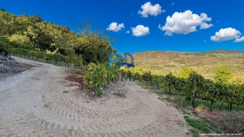 Terreno para Venda em Valadares