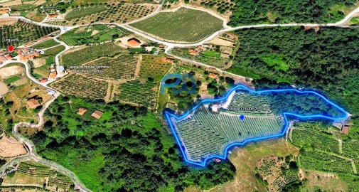 Terreno para Venda em Valadares