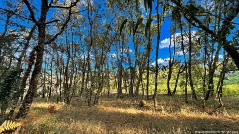 Terreno para Venda em Valadares