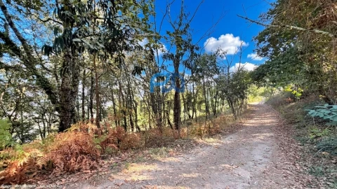 Terreno para Venda em Valadares