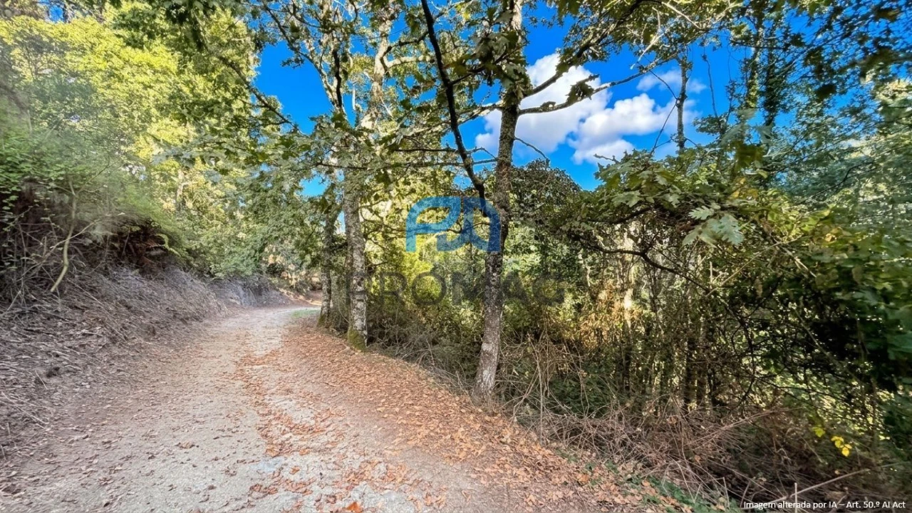 Terreno para Venda em Valadares Foto 11
