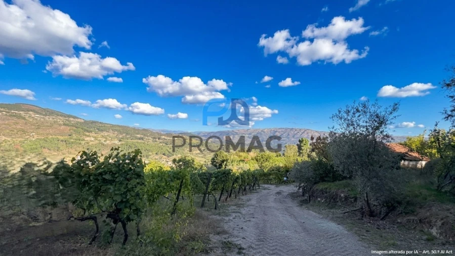 Terreno para Venda em Valadares Foto 21