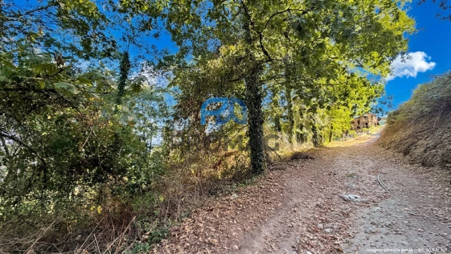 Terreno para Venda em Valadares Foto 10