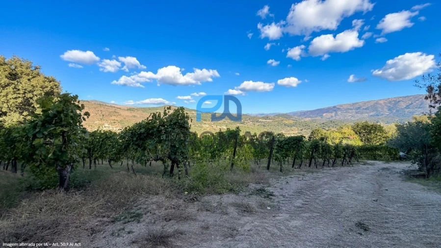 Terreno para Venda em Valadares Foto 20