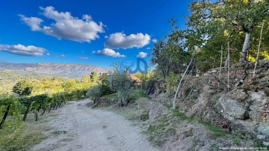 Terreno para Venda em Valadares Foto 19