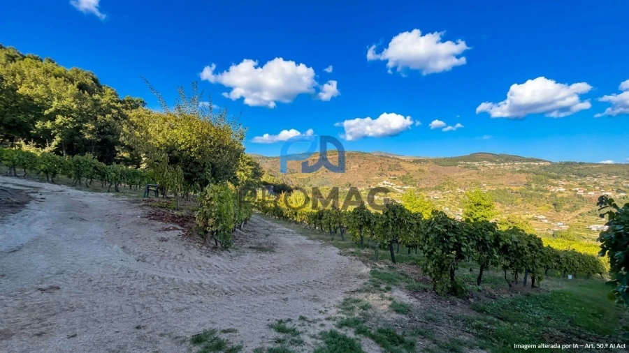 Terreno para Venda em Valadares Foto 22