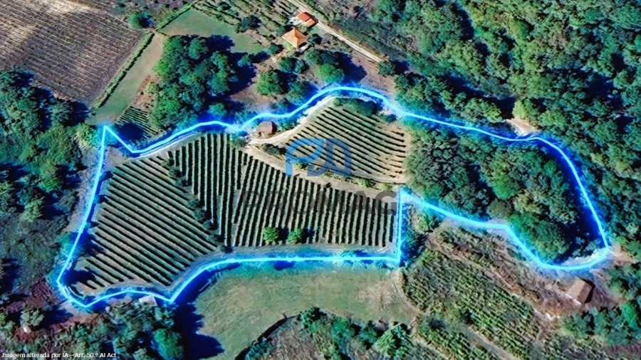 Terreno para Venda em Valadares Foto 24