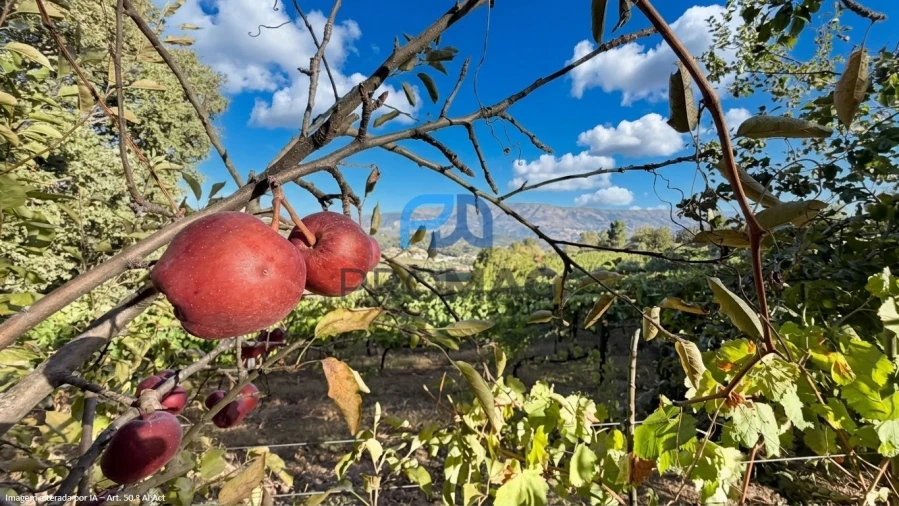 Terreno para Venda em Valadares Foto 17