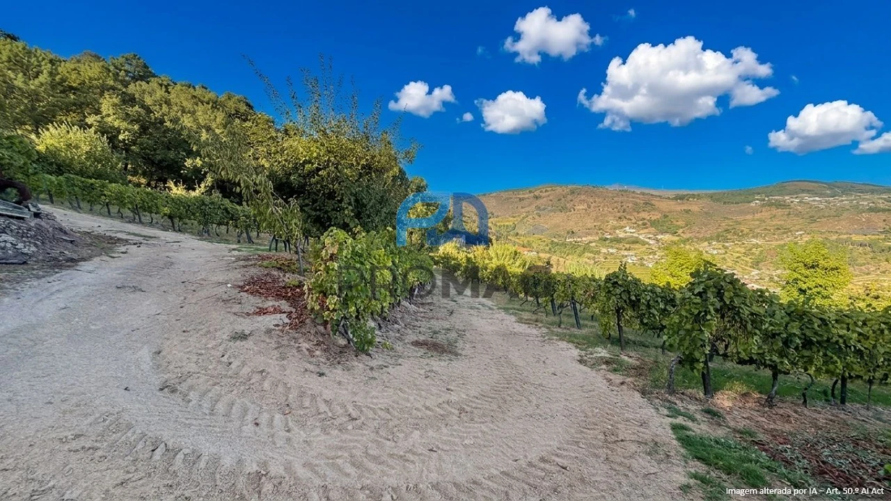 Terreno para Venda em Valadares Foto 6