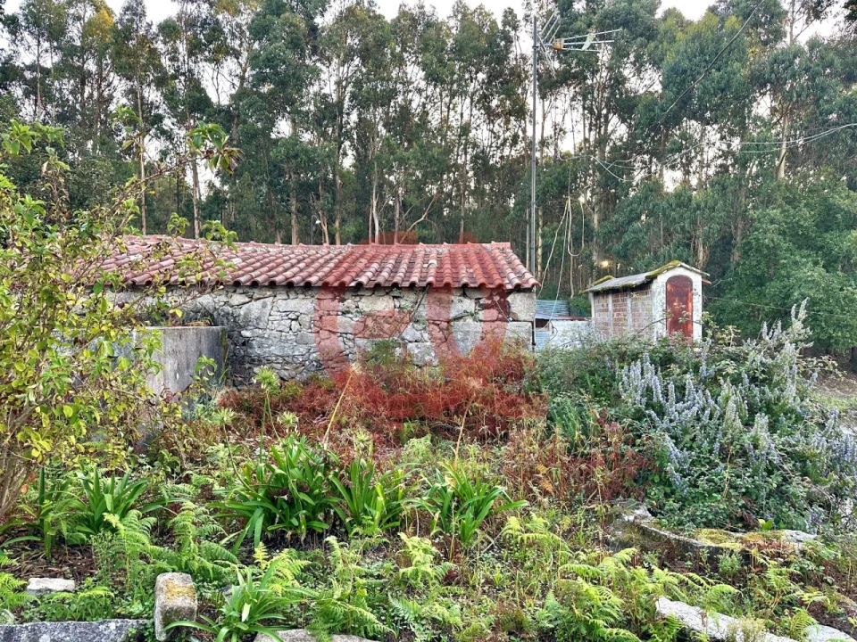 Moradia T3 para Venda em Perre Foto 22