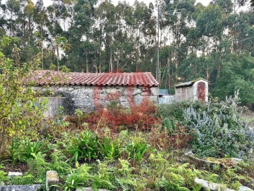 Moradia T3 para Venda em Perre
