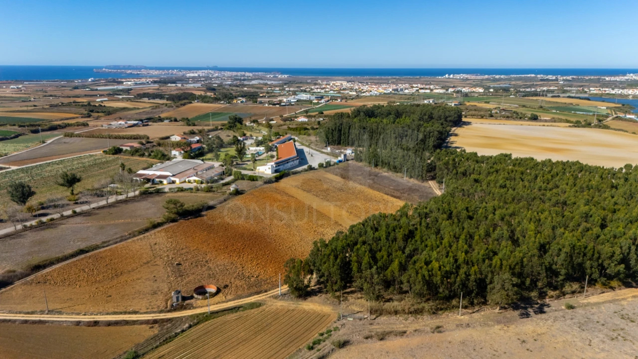 Terreno para Venda em Atouguia da Baleia Foto 9