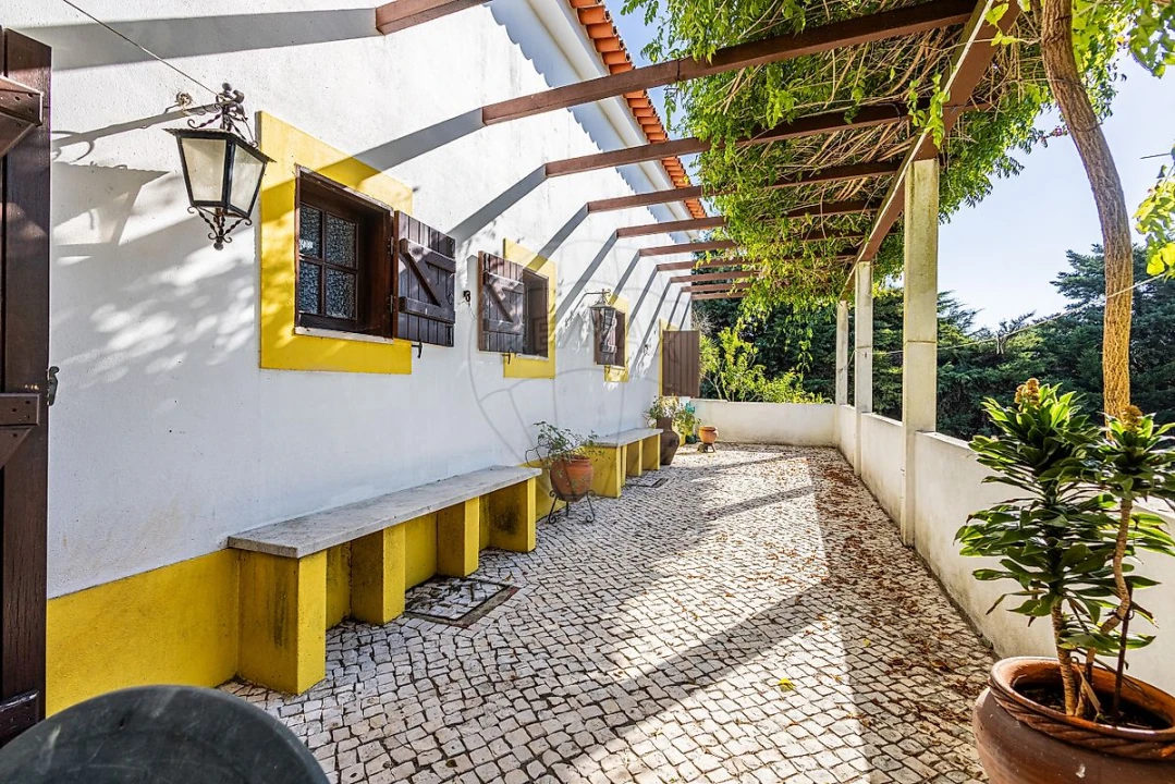 Quinta T3 para Venda em Almoster Foto 33