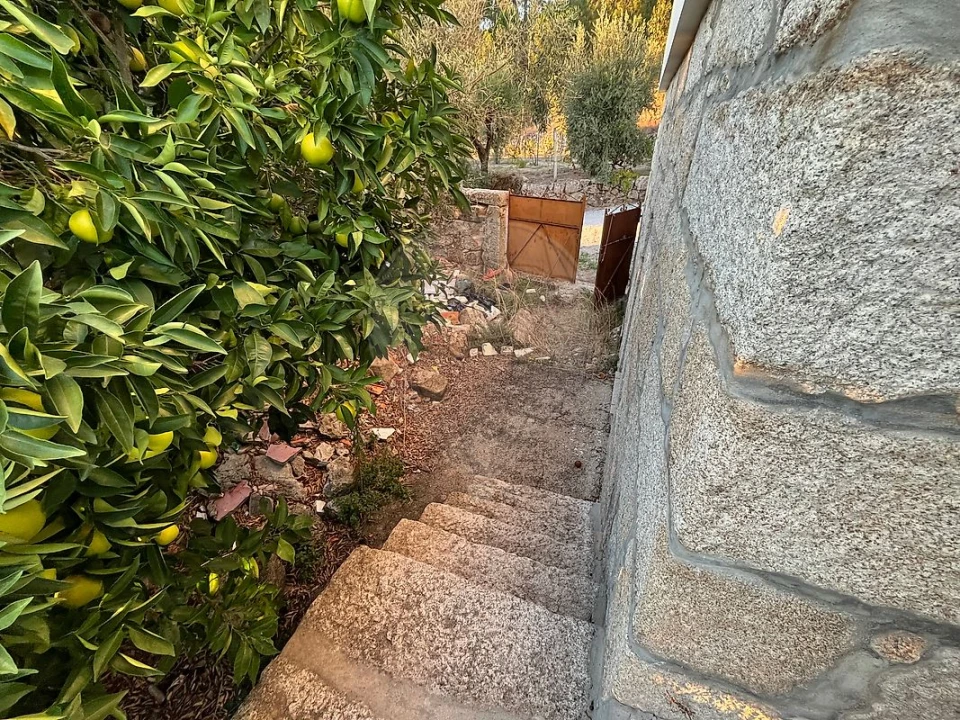 Moradia T3 para Venda em Fornos de Maceira Dão Foto 11