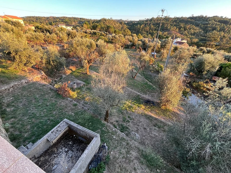 Moradia T3 para Venda em Fornos de Maceira Dão Foto 6