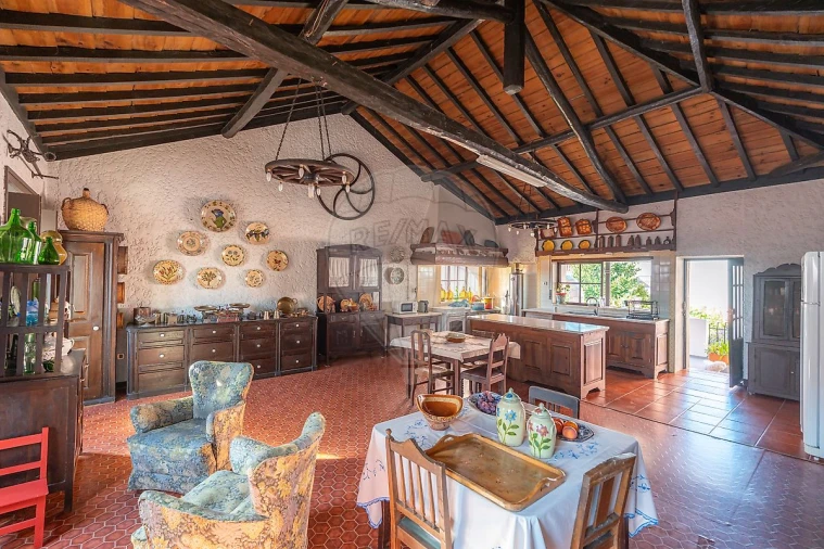 Quinta T12 para Venda em Paião Foto 19