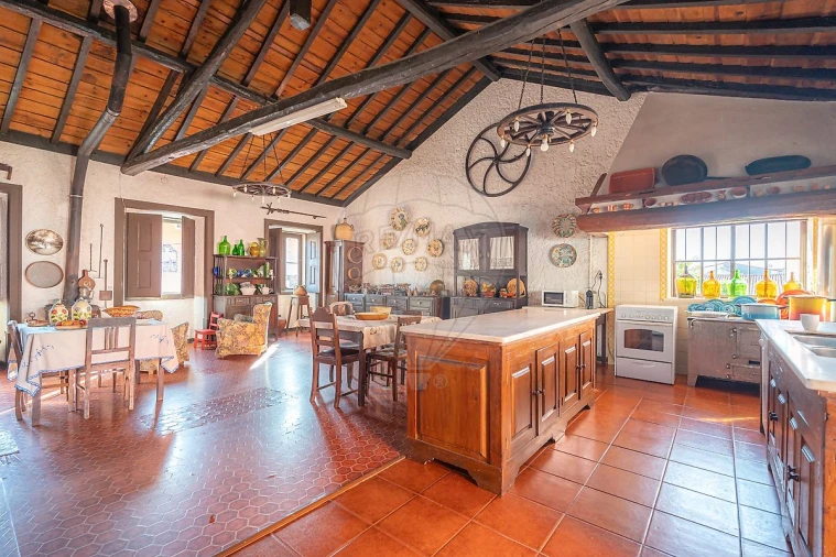 Quinta T12 para Venda em Paião Foto 18