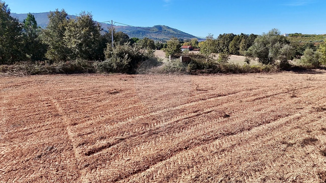 Terreno para Venda em Fundão, Valverde, Donas, A. Joanes, A. Nova Cabo Foto 8