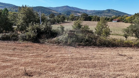 Terreno para Venda em Fundão, Valverde, Donas, A. Joanes, A. Nova Cabo