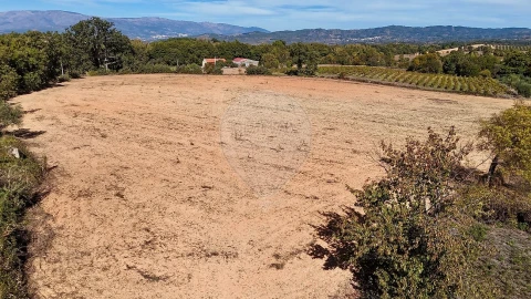 Terreno para Venda em Fundão, Valverde, Donas, A. Joanes, A. Nova Cabo