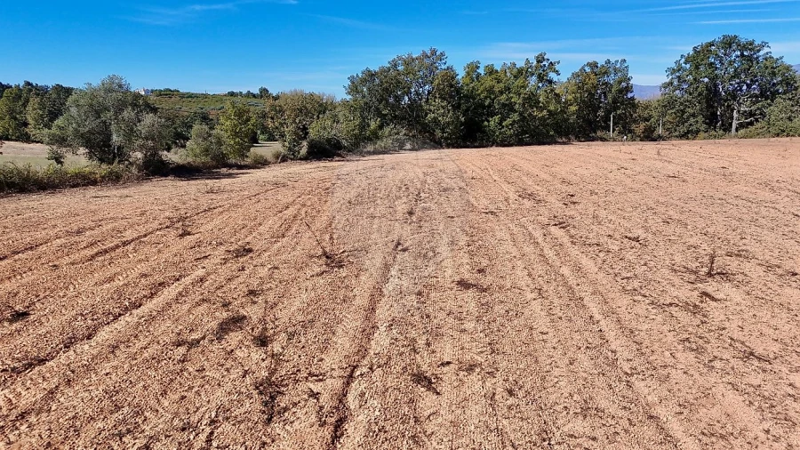 Terreno para Venda em Fundão, Valverde, Donas, A. Joanes, A. Nova Cabo Foto 13