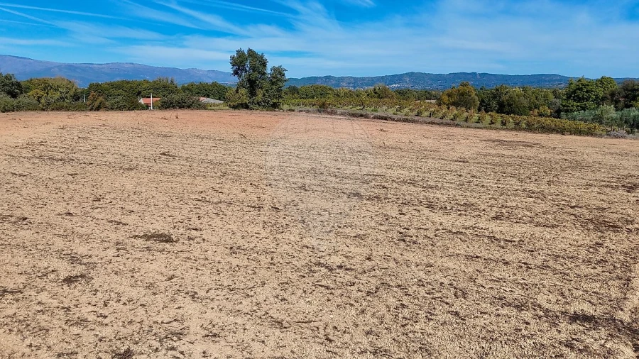Terreno para Venda em Fundão, Valverde, Donas, A. Joanes, A. Nova Cabo Foto 9