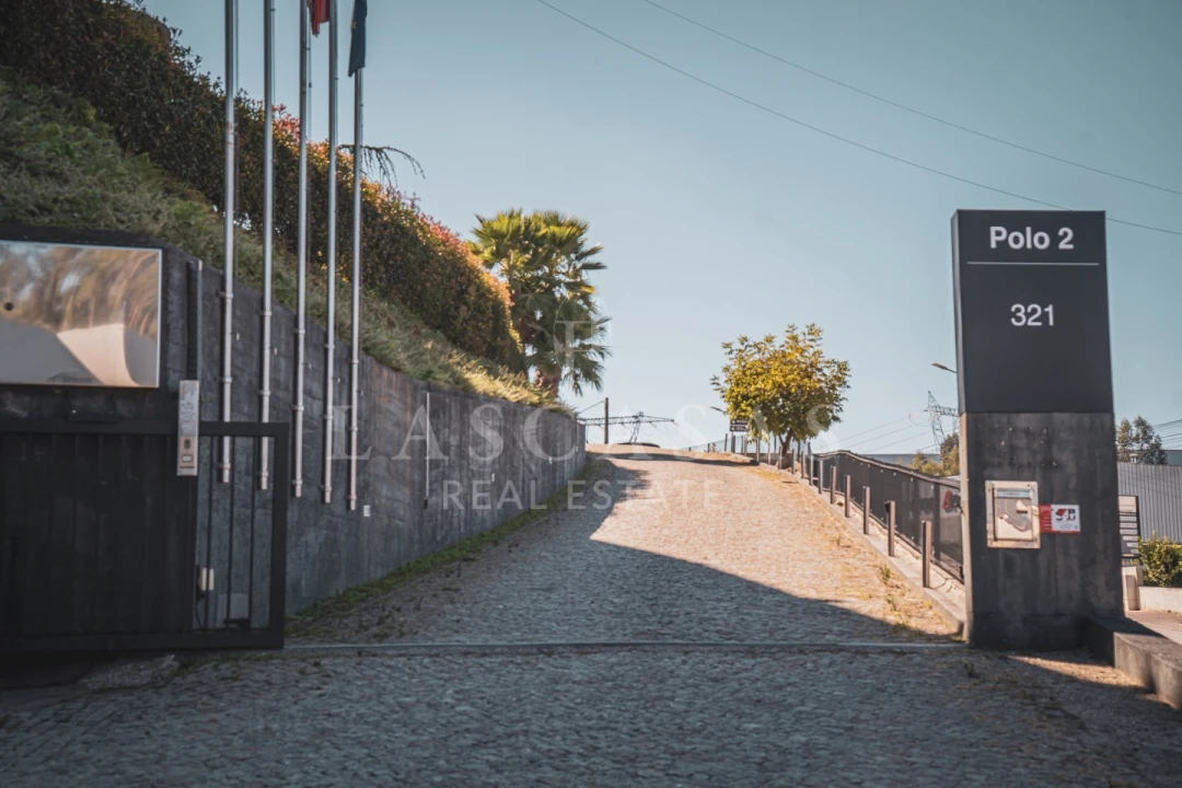 Armazém para Arrendamento em Rebordosa Foto 16
