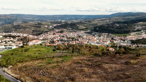Terreno para Venda em Lamego (Almacave e Sé)