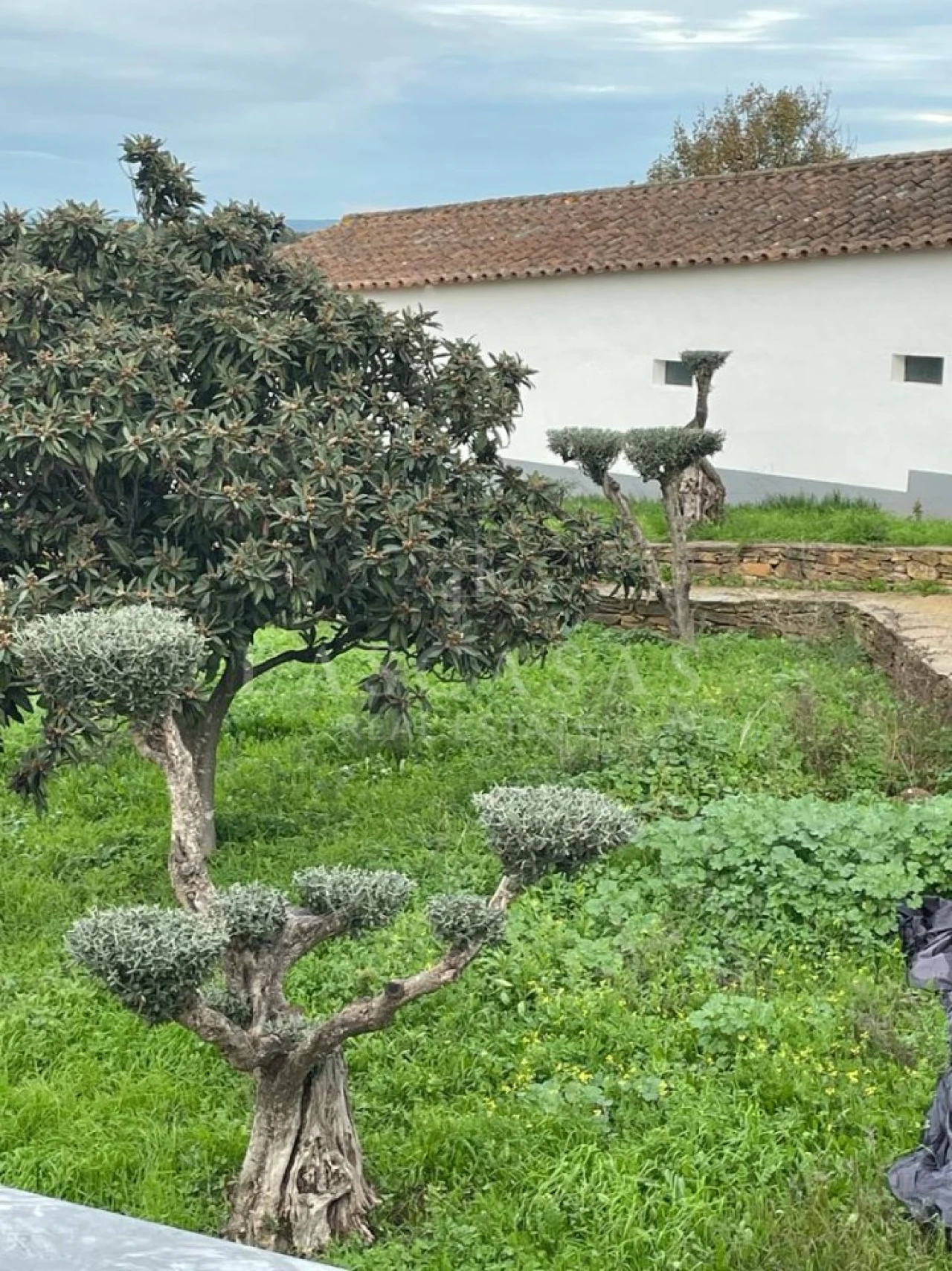 Quinta T5 para Venda em Nossa Senhora da Conceição e São Bartolomeu Foto 36