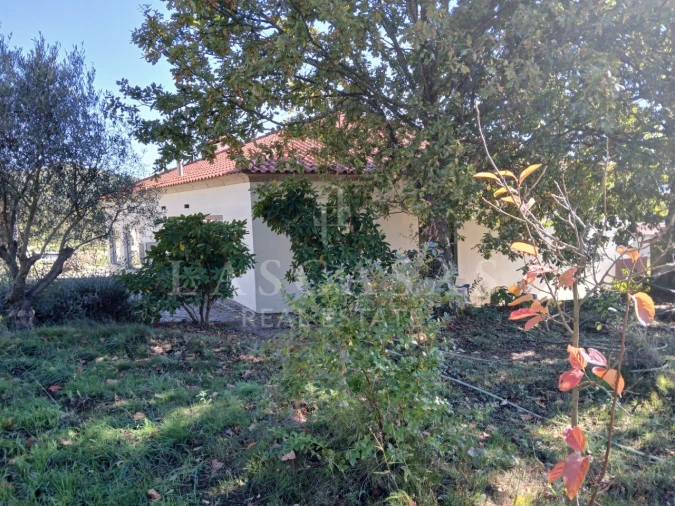 Moradia T5 para Venda em Gestaço Foto 21