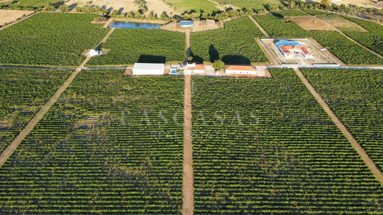 Quinta T8 para Venda em Redondo Foto 2