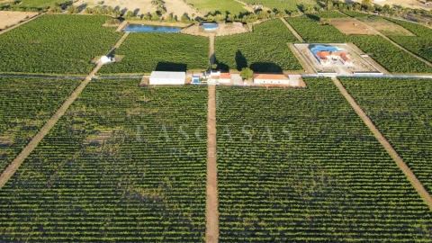 Quinta T8 para Venda em Redondo