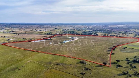 Quinta T8 para Venda em Redondo