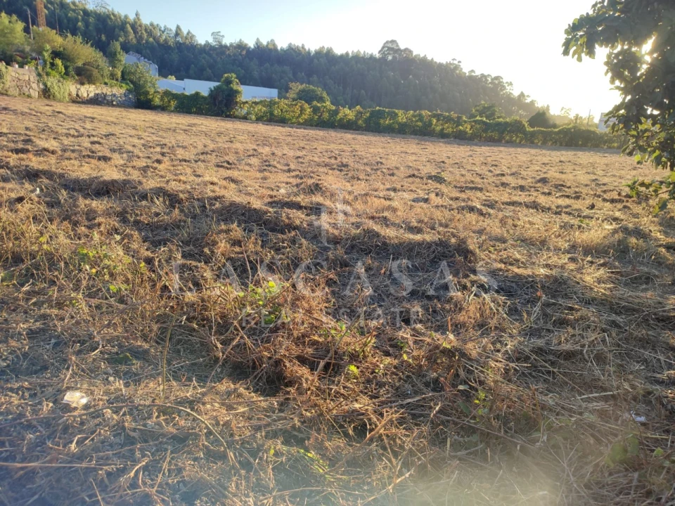 Terreno para Venda em Duas Igrejas Foto 7