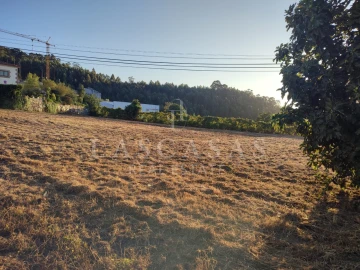 Terreno para Venda em Duas Igrejas