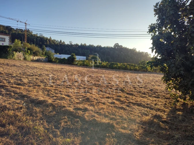 Terreno para Venda em Duas Igrejas Foto 6