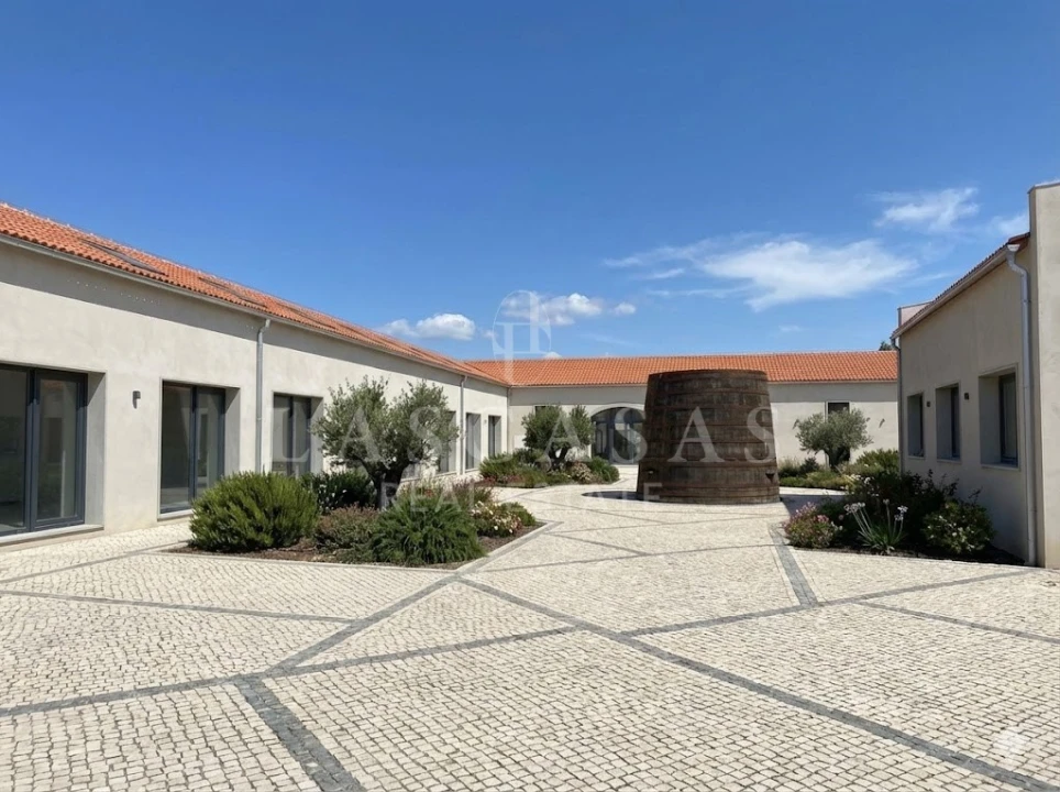 Negócio para Venda em Vila Chã de Ourique Foto 14