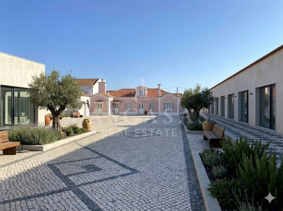 Negócio para Venda em Vila Chã de Ourique Foto 15