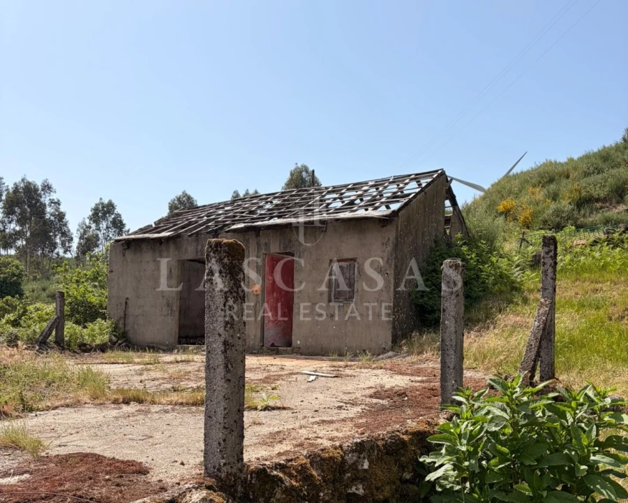 Moradia T3 para Venda em Basto (São Clemente) Foto 7