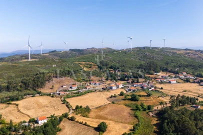 Moradia T3 para Venda em Basto (São Clemente)