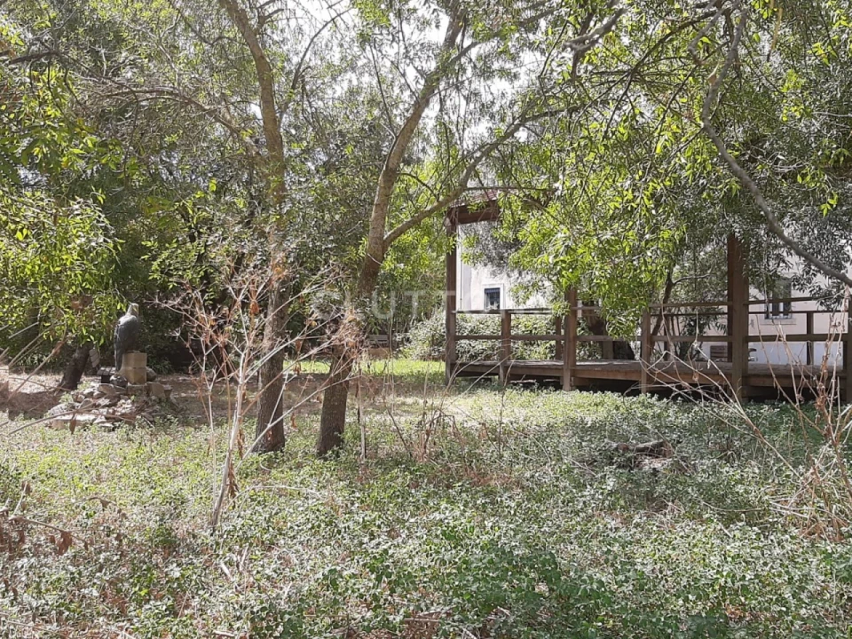 Apartamento T3 para Venda em Benfica Foto 23